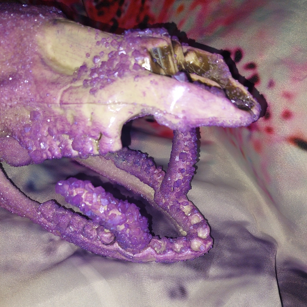 Crystal Skulls - Picture 8 of 14